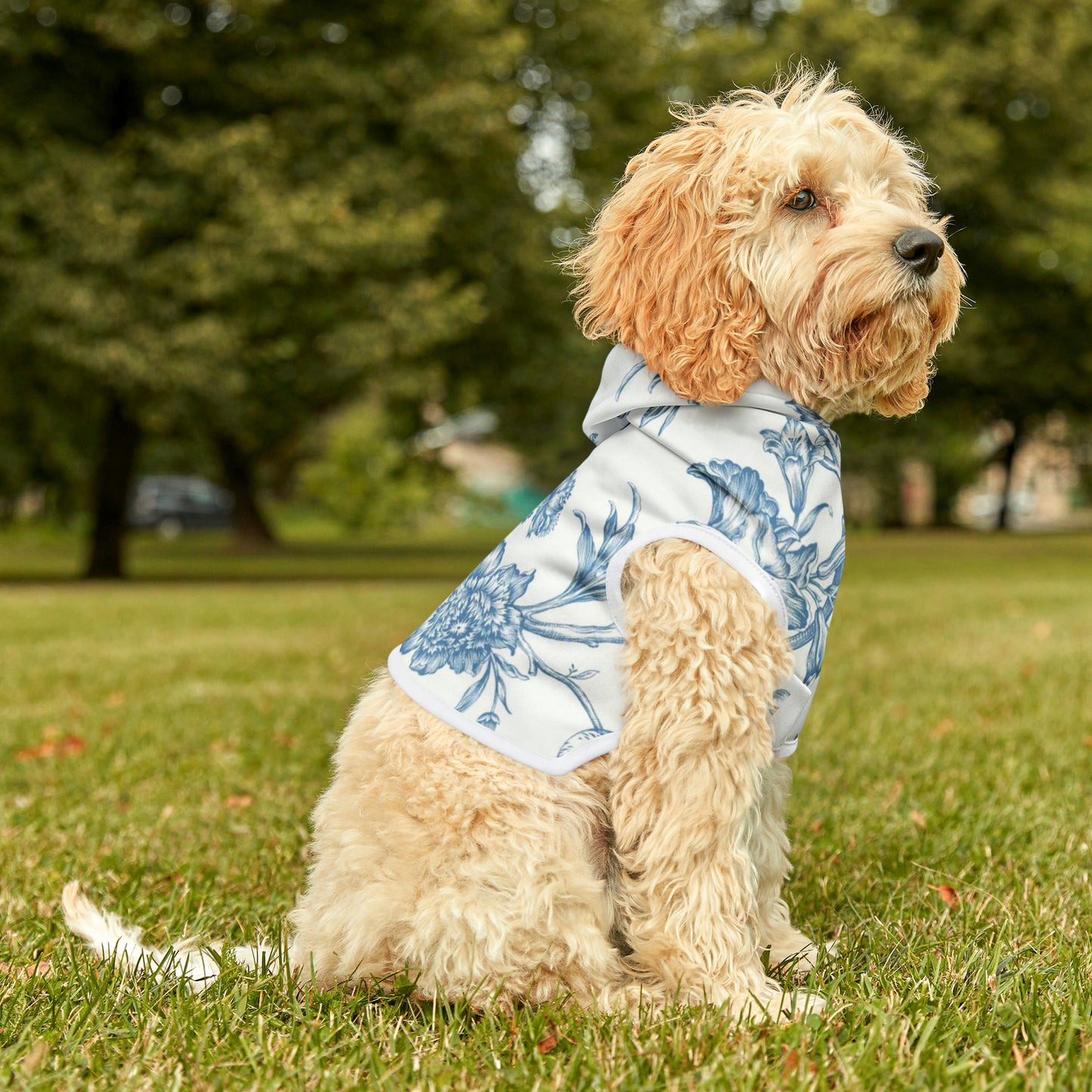 Toile Pet Hoodie