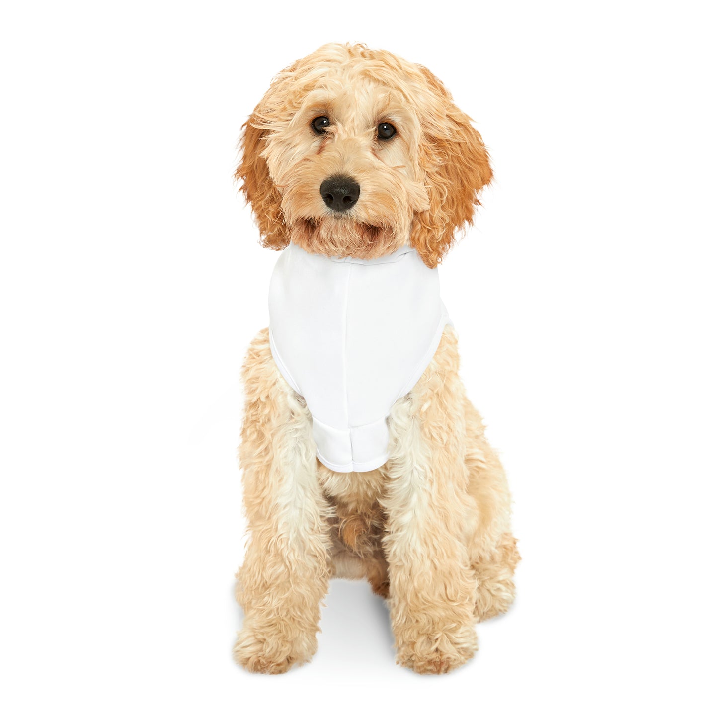 Pampered Poppy Pet Hoodie