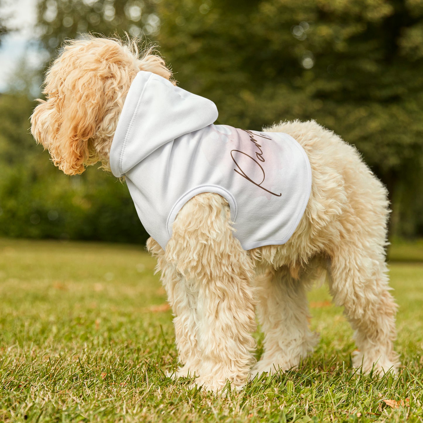 Pampered Poppy Pet Hoodie