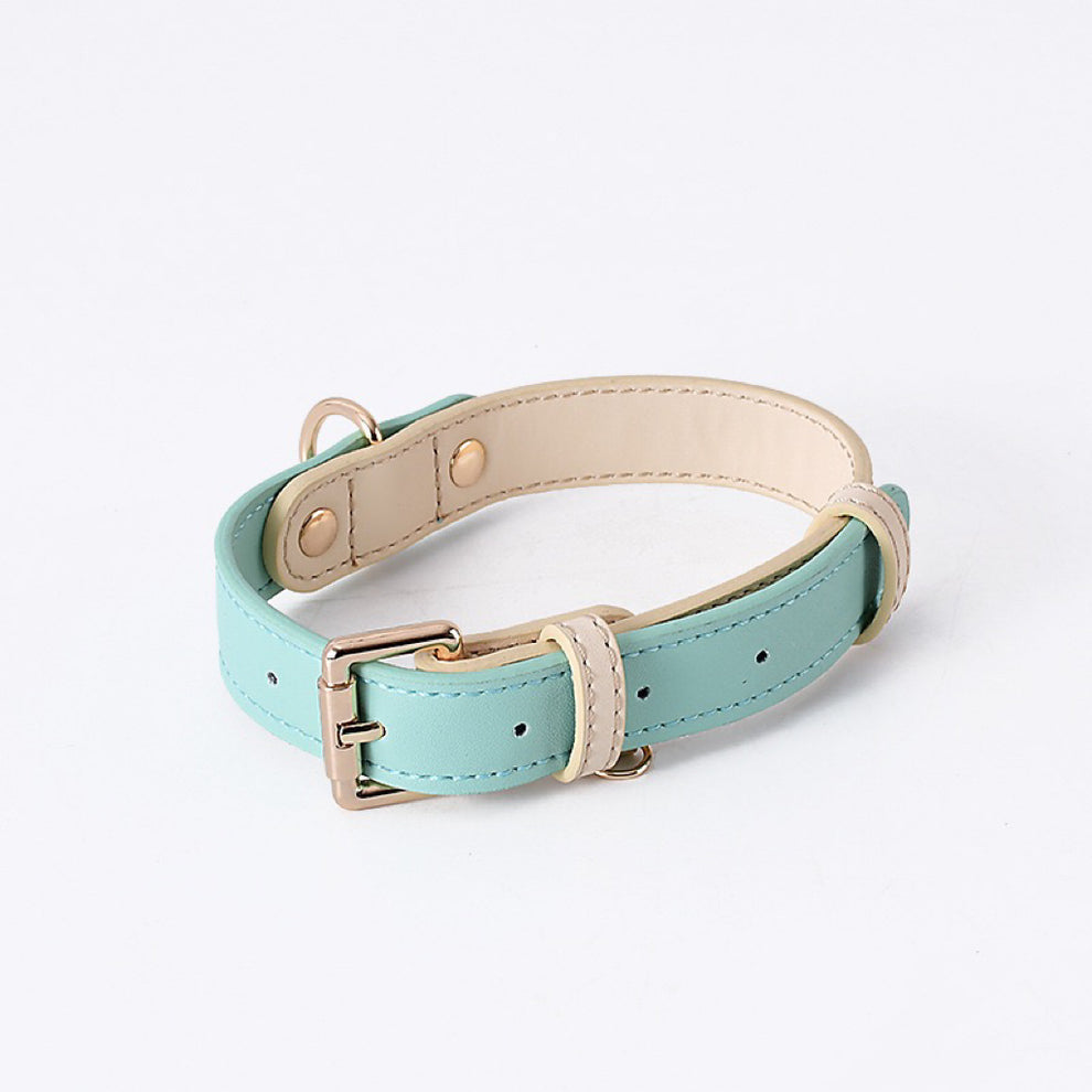 Mint Green Dog Collar