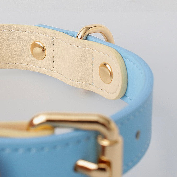 Sky Blue Dog Collar