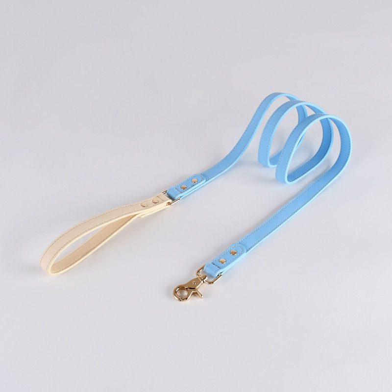 Sky Blue Leash