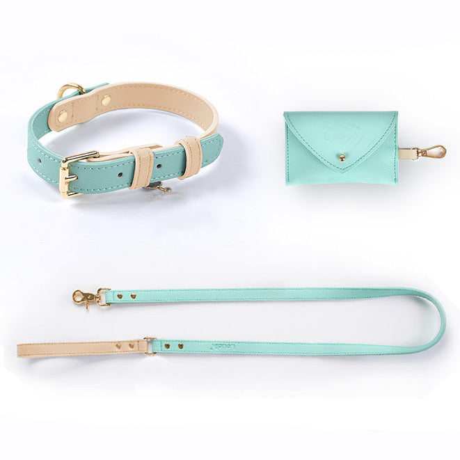 Mint Green Leash