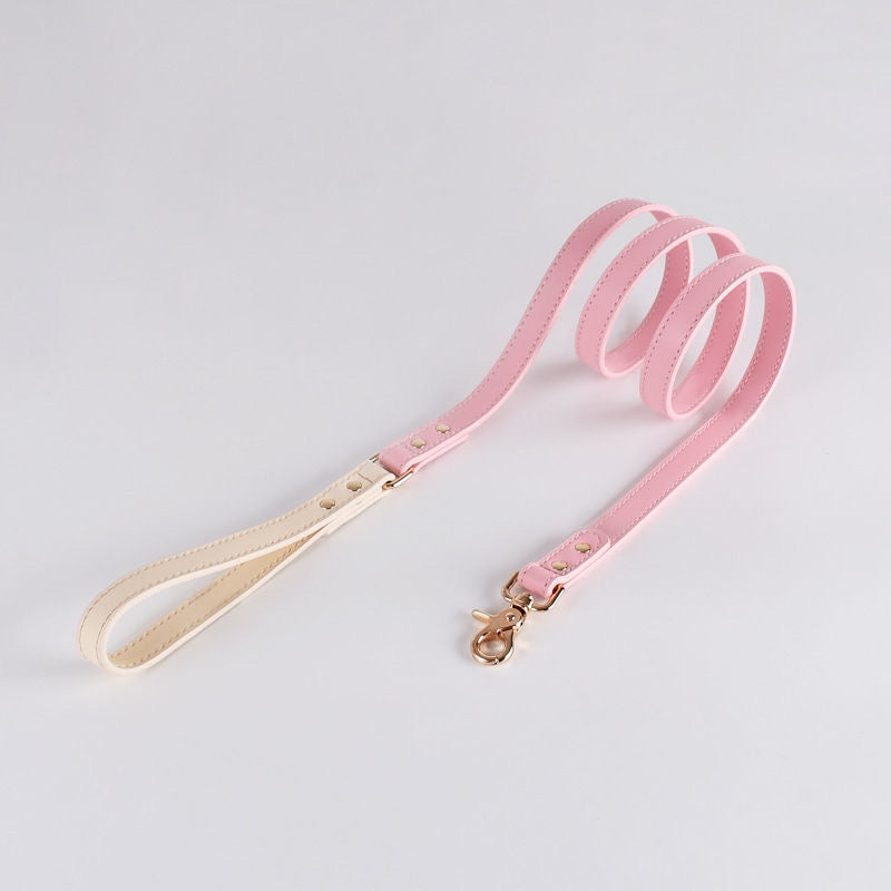 Blush Pink Leash